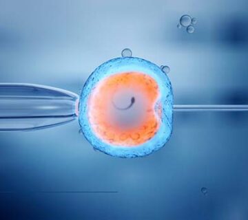 sskmedtour surrogacy with frozen embryo